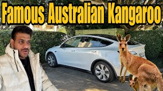 Finally Australia Mein Kangaroo Dhek Liye 🦘🇦🇺 India To Australia By Road EP104 [upl. by Maurise278]