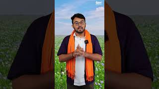 Alsi ki kheti ka sahi samay 🤩👈 flaxseed kab lagana chahiye flaxseed alsi dehaat youtubeshorts [upl. by Bartlett]