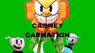 Cagney carnation [upl. by Hoseia]