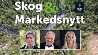 Skog amp Markedsnytt september 2024 [upl. by Carrington801]