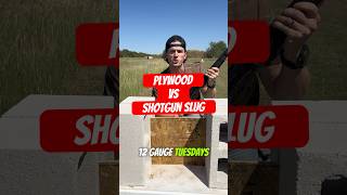 How many pieces of OSB does it take to stop a shotgun slug [upl. by Sotos348]