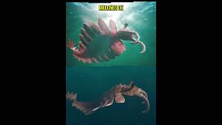 💎 El ANOMALOCARIS  El Primer Gran DEPREDADOR 🌎 [upl. by Harraf260]