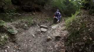 Balade enduro gopro 450 exf 450 wrf 250 wrz [upl. by Knowling]