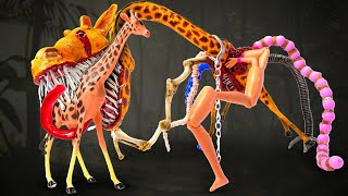 🦒 💥 New The Biggest Zoochosis Transformation We Ever Made [upl. by Alekin504]