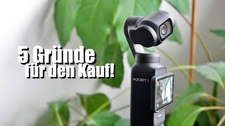 DJI Osmo Pocket 3  5 Gründe für den Kauf im Jahr 2024 [upl. by Mapes445]