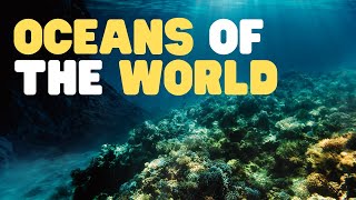 Oceans of the World for Kids  Learn all about the 5 Oceans of the Earth [upl. by Drugge]