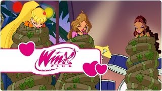 Winx Club  Temporada 4 Episódio 18  Fúria da Natureza clip1 [upl. by Nylave]