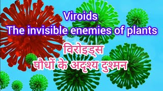 Viroids  the invisible enemies of plants विरोइड्स पौधों के अदृश्य दुश्मन [upl. by Gaughan681]