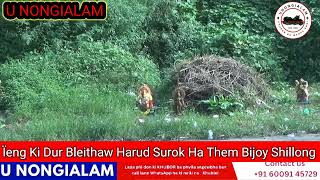 Ïeng Ki Durblei harud surok ha Them Bijoy Shillong [upl. by Keemahs171]