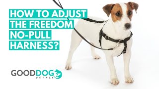 How to adjust the Freedom NoPull Harness for dogs [upl. by Rheingold608]