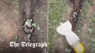 Moment Russian soldier catches and throws away Ukrainian drone bombs [upl. by Anitsyrc319]