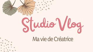 Studio Vlog 102 La fin dune commande  des microbes [upl. by Yezdnil]