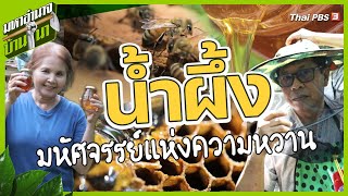 น้ำผึ้ง มหัศจรรย์แห่งความหวาน  มหาอำนาจบ้านนา [upl. by Harwill]