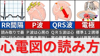 【12分で解説、10分で国試問題】心電図の基本と読み方について解説 [upl. by Decker]