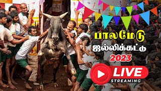 Palamedu Jallikattu Live 2023  பாலமேடு ஜல்லிக்கட்டு நேரலை  Vikatan [upl. by Nylirret]