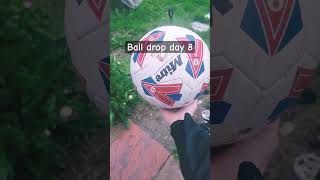 Ball drop day 8 [upl. by Polito]