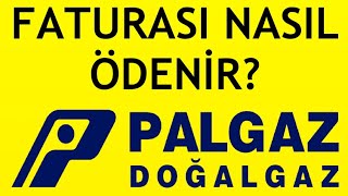 Palgaz Faturası Nasıl Ödenir [upl. by Namrak]