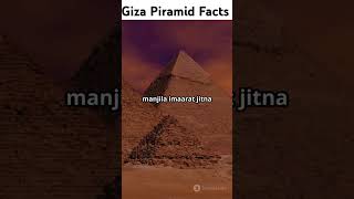 Giza Piramid 🫣 shorts shortsvideo facts factsinhindi hindifacts [upl. by Alohs737]