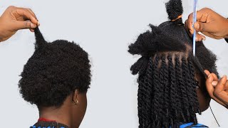 PART 2 Fast Hair Growth With Mini Twists Extension  4Month Lasting Results Tutorial [upl. by Toblat]