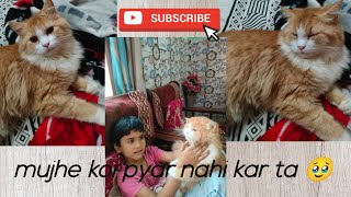 Cherry 😔 Aaj udaas thi 😿aisa kya hua llCherryvlogs70 [upl. by Ydda]