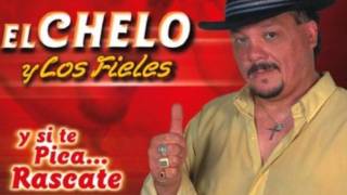 el chelo y los fieles  sin documento [upl. by Flanigan]