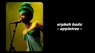 Erykah Badu  Appletree Lyrics [upl. by Nahtannhoj647]