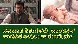 Jaundice in Newborns  Hyperbilirubinemia  Vijay Karnataka [upl. by Mort]