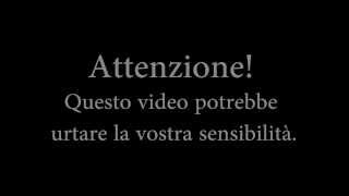 Video incredibile uccisione in diretta [upl. by Converse989]