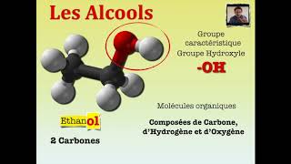 Nomenclature des alcanes et des alcools [upl. by Yrannav]