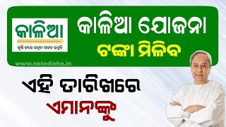 Kalia Yojana Big Update 9th March  Kalia Yojana Money Transfer 2024  Odisha Yojana [upl. by Neff800]