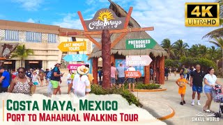 Costa Maya Mexico  Welcome to Paradise  4K Walking Tour of Port amp Trekking Toward Mahahual [upl. by Prochora]