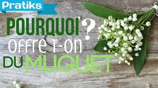 Pourquoi offreton du muguet le 1er Mai [upl. by Rai596]