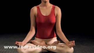 Yoga asana for meditation Padmasana by Isha Sharvani [upl. by Enrika]