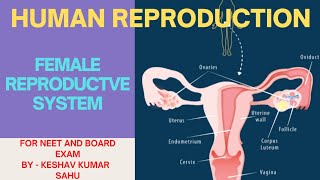 Biology Class 12  Human Reproduction Female Representative System For NEET Boards By Keshav Sahu [upl. by Nadine35]