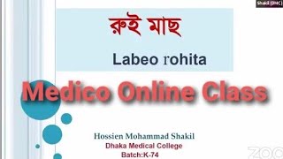 Medico Online Class  রুই মাছ  Dr Shakil  মেডিকো অনলাইন ক্লাস  All Request PDF [upl. by Olivero]