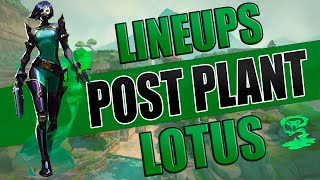 🐍12 LINEUPS VIPER LOTUS  POST PLANT🏆 [upl. by Enilatan]