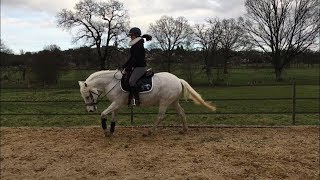 DRESSAGE Épaules en dedans appuyers au trot et galop [upl. by Ecyor]