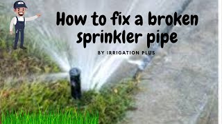 How to fix a run over sprinkler pop up [upl. by Socher]