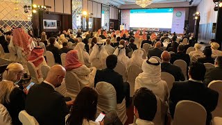 2nd PPP MENA Forum  Day 1 Highlights [upl. by Dewhurst]