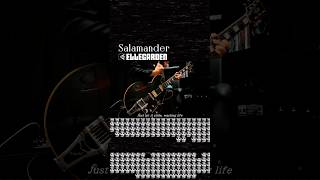 SalamanderELLEGARDEN【Guitar copy】【ギター弾いてみた】 [upl. by Rakso]