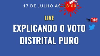 170724  EXPLICANDO O VOTO DISTRITAL PURO [upl. by Larret]