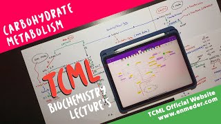 Carbohydrate Metabolism  Part 1  TCML Biochemistry Lectures [upl. by Griffy]