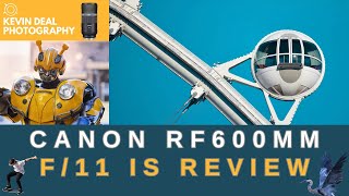 Why The Canon RF600mm f11 Still Rocks  Long Term Review [upl. by Aisirtap155]