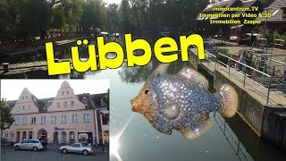 Lübben🐲🐟🐠Spreewaldtraumhafte Stadt in Brandenburg Doku SehenswürdigkeitenTouristinformation [upl. by Aicilegna]