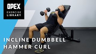 Incline Dumbbell Hammer Curl  OPEX Exercise Library [upl. by Anhavas549]