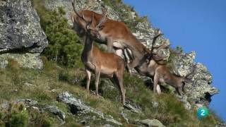 Grandes DocumentalesNockberge Montañas a las puertas del cielo [upl. by Atinrev444]