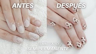 Esmaltado SEMIPERMANENTE Paso a Paso 💅🏼 Para PRINCIPIANTES  Melina Quiroga [upl. by Uzial]