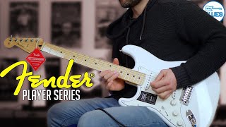 Fender Stratocaster Comparison SSS vs HSS [upl. by Megdal149]