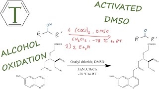 Swern Oxidation  Named Reactions  Organic Chemistry Lessons [upl. by Ahseniuq]