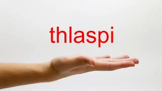 How to Pronounce thlaspi  American English [upl. by Nitza]